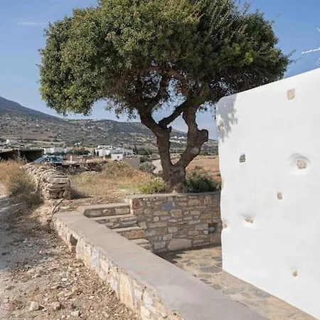 Traditional In Paros.
