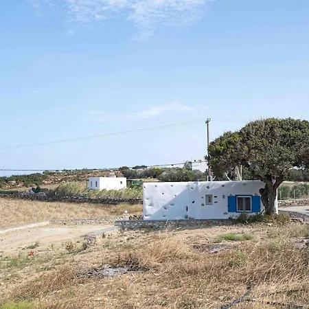 Traditional In Paros. * Driósz